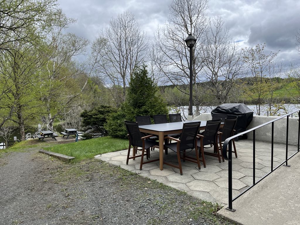 Terrasse extérieure avec une table et douze chaises sur dalles de pierre, à côté d'un barbecue noir. Entourée d'arbres, avec un lac en arrière-plan sous un ciel nuageux. Une table de pique-nique est visible sur l'espace herbeux à gauche.