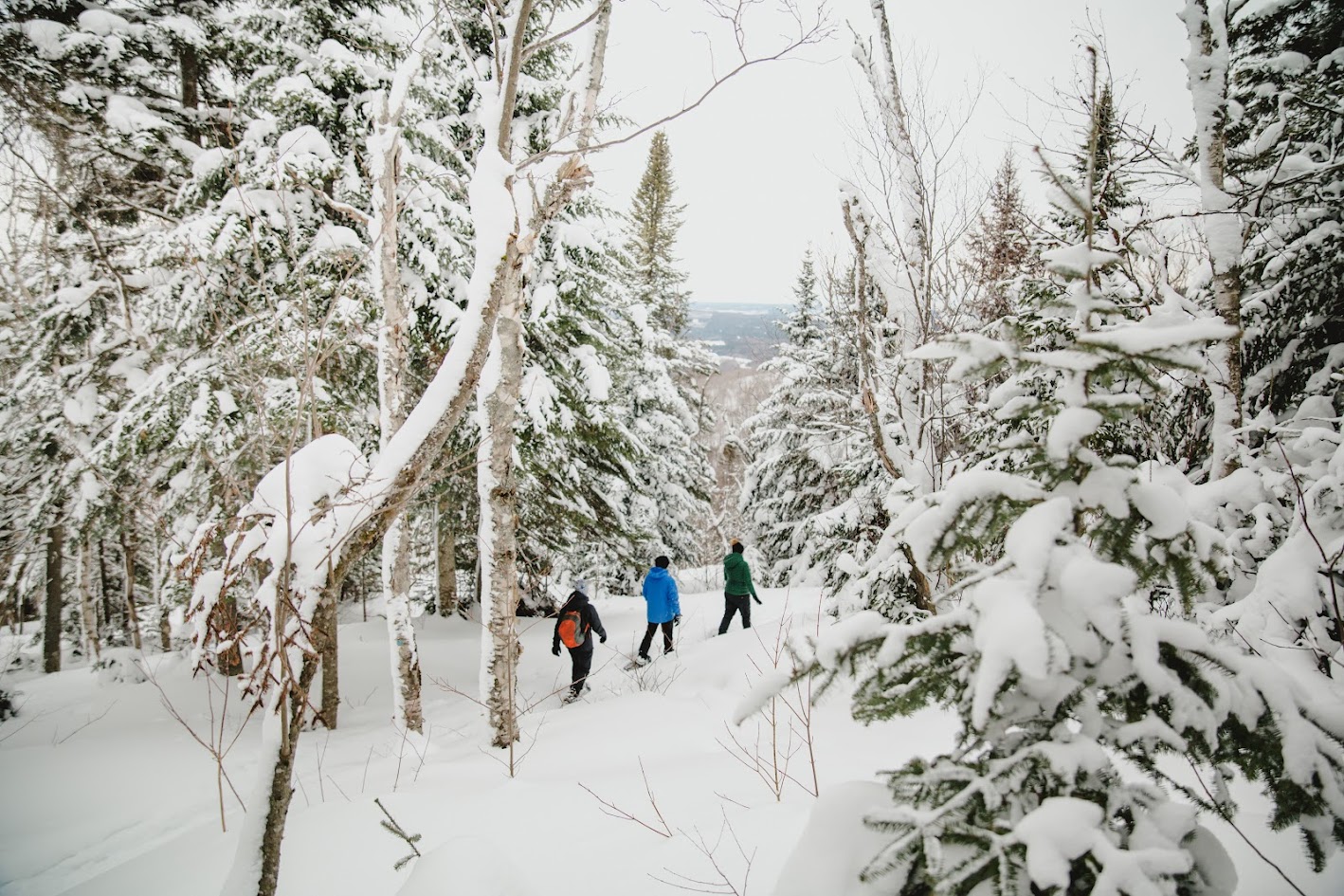 Trois personnes font une randonnée à travers une forêt enneigée, avec des arbres enneigés bordant le chemin et une vue lointaine sur une vallée partiellement visible à travers les bois.