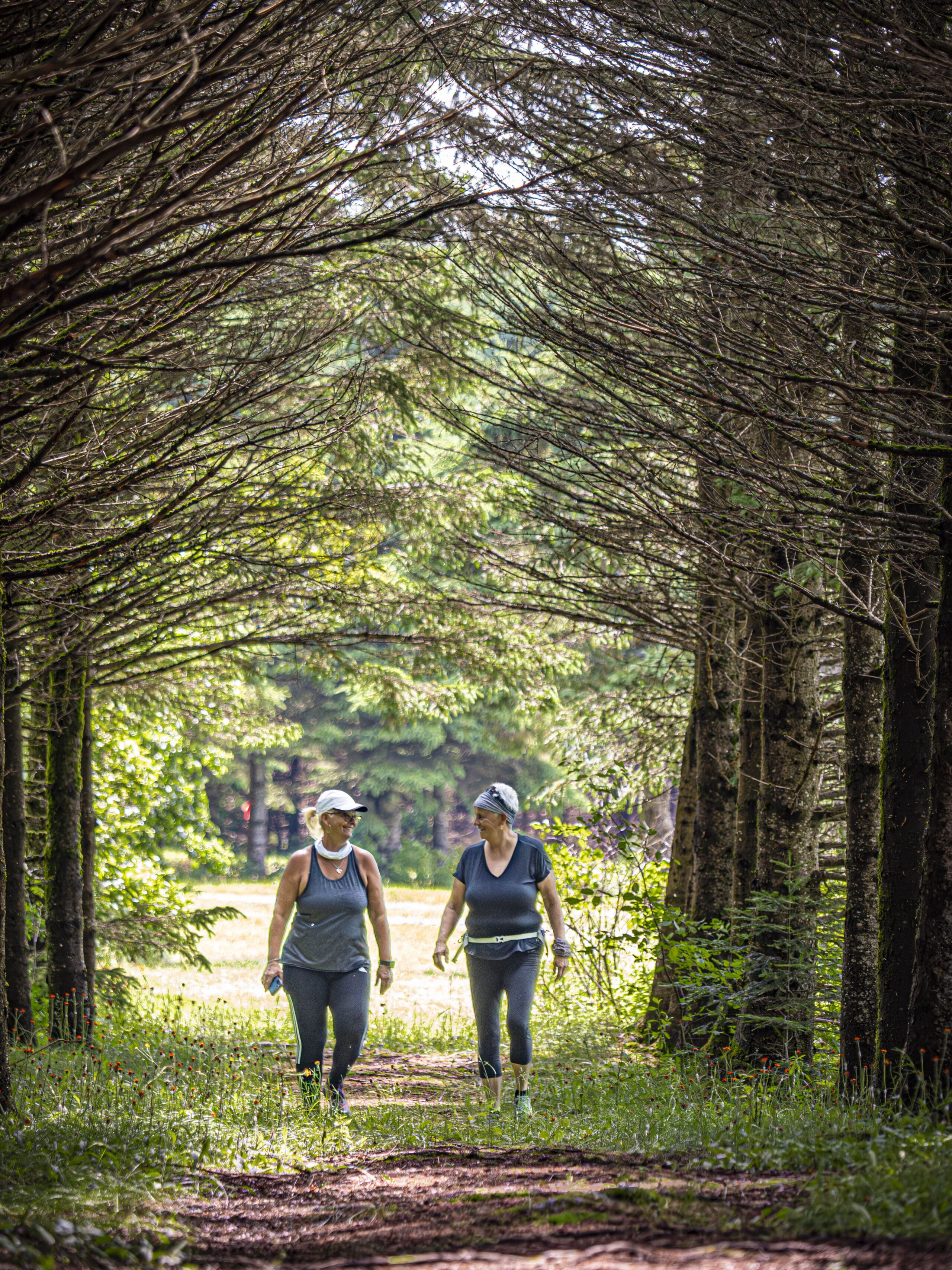 Deux femmes en tenue de sport marchent sur un chemin de terre à travers un tunnel de grands arbres voûtés dans une forêt verdoyante par une journée ensoleillée.